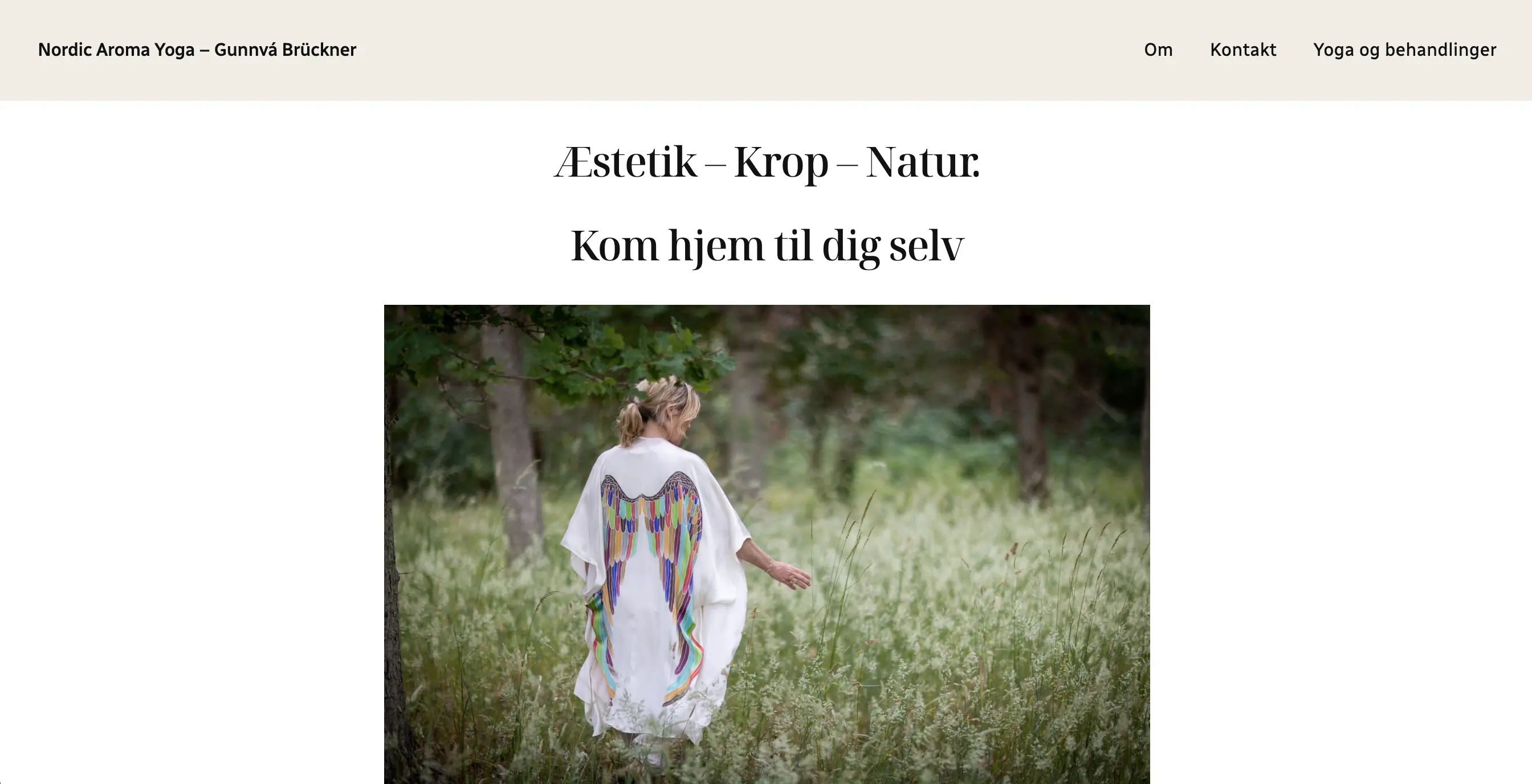Hjemmeside hjælp Midtjylland Bjerringbro